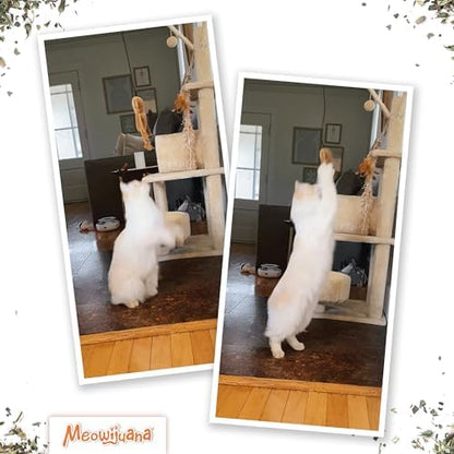 Meowijuana Jump 'n' Jamb Door Hanging Monkey Cat Toy | Refillable Plush - Image 6