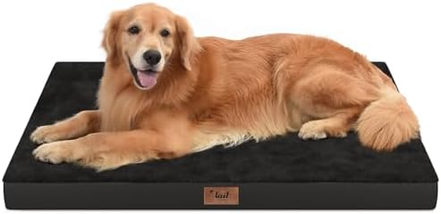 Waterproof Orthopedic Outdoor Dog Bed XL for Extra Large Dogs by TailStories
