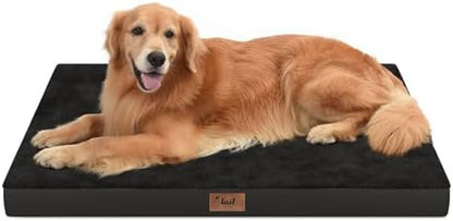 Waterproof Orthopedic Outdoor Dog Bed XL for Extra Large Dogs by TailStories