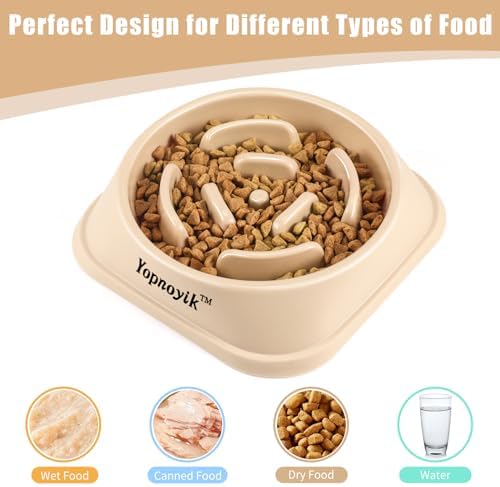 2 Pack Slow Feeder Dog Bowls for Medium Dogs & Cats - Image 4