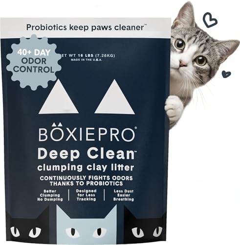 Boxie Probiotic Cat Litter, 40 Day Control, Clumping Clay Kitty Litter, Odor Eliminating Probiotics, Dust-Free, No Fragrances No Fillers, 16 lb by Boxiecat