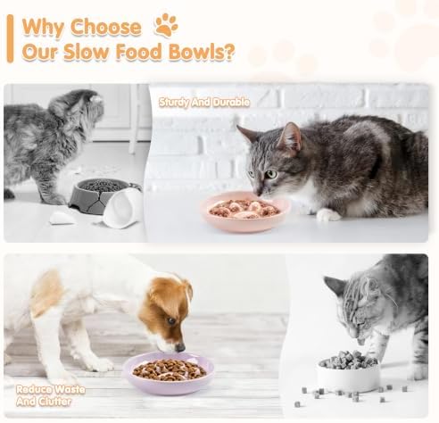 Cat Slow Feeder Bowl Set,2 Pcs Pastel Series Cat Plate for Dry and Wet Food - Image 4