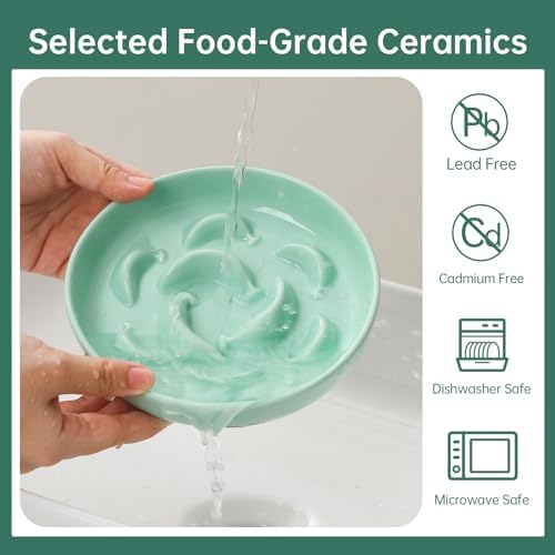 2 Pack Ceramic Cat Slow Feeder Bowl Set, 6.3" Wide, Slow Eating 5X - Image 5