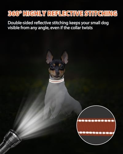 Joytale Feather-Light Puppy Collar for Extra Small Dogs, 3/8", Orange - Image 5