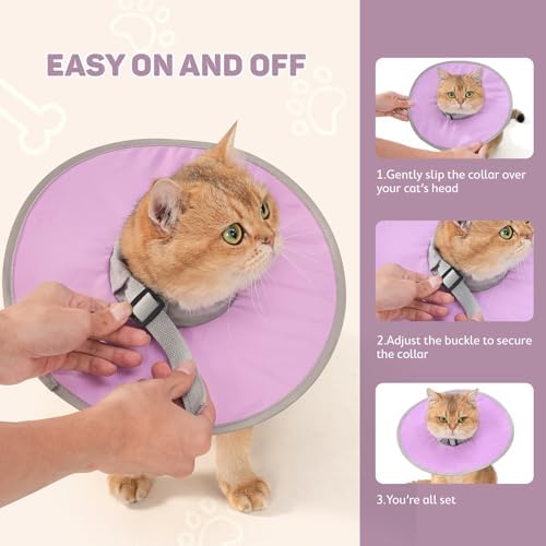 Avont Lightweight Waterproof Foldable Cone, Soft E-Collar - M Purple - Image 6
