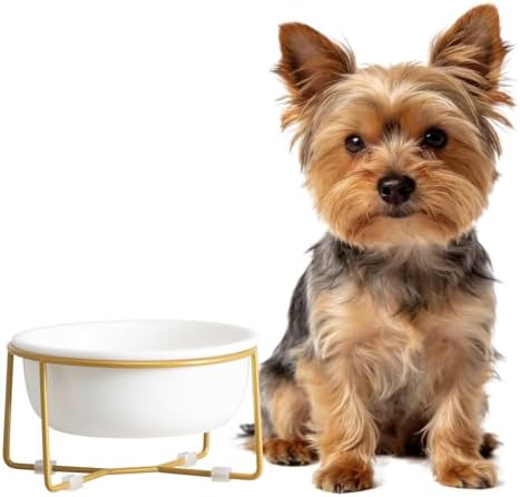 Elevated Ceramic Dog Bowl with Metal Stand - Raised Feeding Dish for Small Dogs and Cats - Ideal for Food or Water - Each Holds 400ml / 2 Cups (Approx. 200g) - White by HCHLQLZ