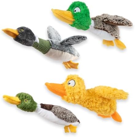 Best Pet Supplies Interactive Squeaky Dog Chew Toy, Ideal Dog Toys for Chewers, Small, Medium & Large Dogs, and Fetch Lovers - Duck (Mystery Box), Large by BestPetSuppliesLLC