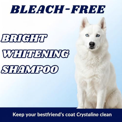 (1 Gallon) Dog Whitening Shampoo for White Dogs, Purple Dog Shampoo Whitening for Dogs White Coat, Blueberry Facial, para Perros Blancos - Image 5