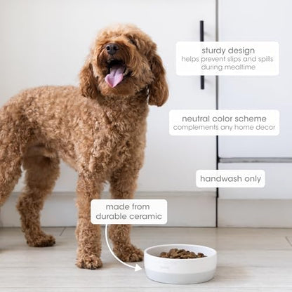 Pearhead Ceramic Bone Appétit Dog Bowl - Gray & White - Image 2
