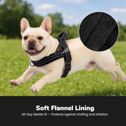 Didog No Pull Dog Harness for Small Dogs, Soft Flannel Padded, Black, S - Image 2