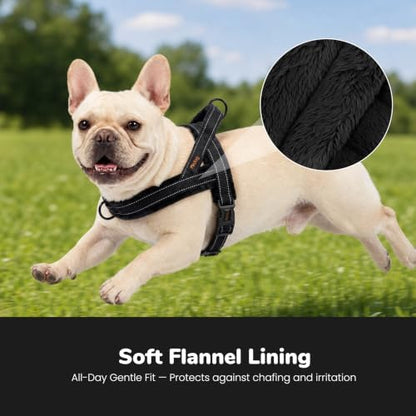 Didog No Pull Dog Harness for Small Dogs, Soft Flannel Padded, Black, S - Image 2
