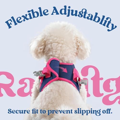 rabbitgoo Dog Harness Small Sized and Leash Set, Step in Soft Vest - Image 6