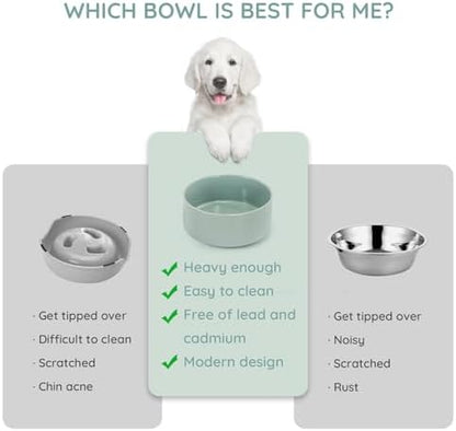 SPUNKYJUNKY 28.7OZ Ceramic Dog and Cat Bowl, Modern Cute Weighted Food Water Bowl for Replacement Morandi Green (2 Pack) - Image 3