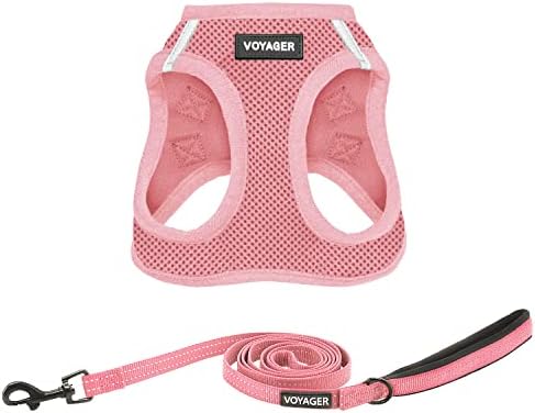 Best Pet Supplies Voyager Step-in Air All Weather Mesh Harness and Reflective Dog 5ft Leash Combo with Neoprene Handle, for Small, Medium and Large Breed Puppies - Pink, Small by BestPetSuppliesLLC