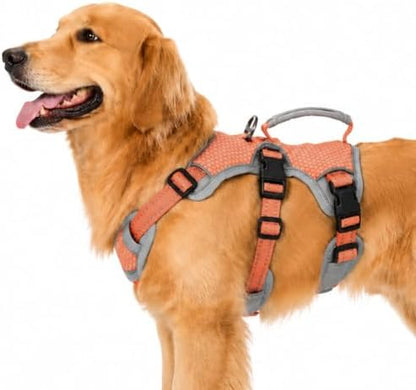 Huntboo Escape Proof Dog Harness, Dachshund Harness, Reflective Dog Harness with Handle, Durable,Adjustable Vest for Small Medium Large Dogs Walking, Training, and Running Gear (Orange,L) by Huntboo
