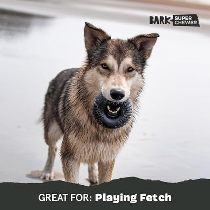 BarkBox Radius Super Chewer - Toy for Large Dogs - Image 5