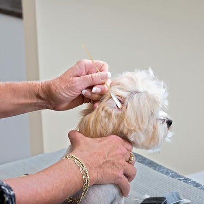 eyxformula Extra Long Cotton Swabs for Dog Ear Cleaning, FSC Bamboo Sticks - Image 3