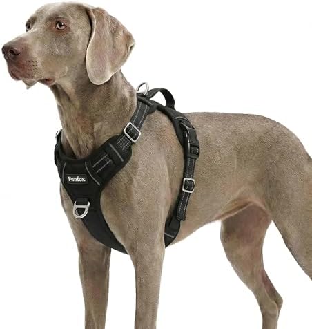 Funfox Dog Harness for X-Large Dog No Pull, Adjustable Pet Vest Harness, Vertical Handle Easy Control with 2 Leash Clips, Soft Material, Reflective Safe Night Walking for X-Large Size, Black, XL by MyFUNFOX