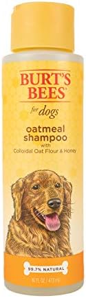 Burt's Bees for Dogs Natural Oatmeal Dog Shampoo | With Colloidal Oat Flour & Honey | Cruelty Free, Sulfate & Paraben Free, pH Balanced for Dogs - Made in USA, 16 Oz - Pack of 6 - Image 2