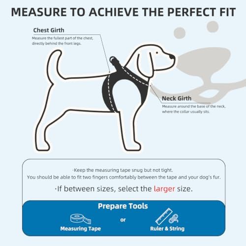PUPTECK Dog Harness, Collar and Leash Set No Pull for Small Medium Sized - Image 2
