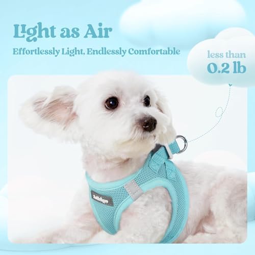 rabbitgoo Dog Harness Small Sized and Leash Set, Step-in Puppy Pet Vest - Image 4
