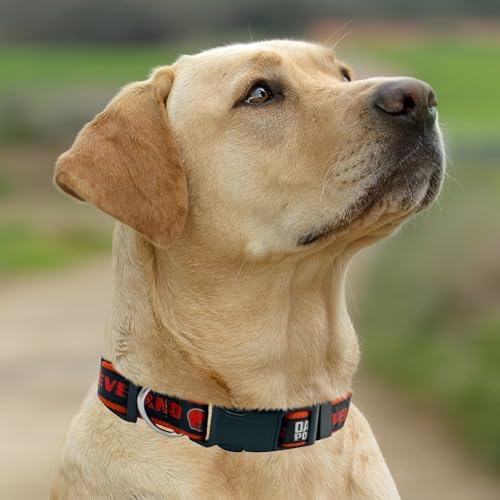 New & Improved Pets First NFL Licensed PET Collar- Heavy-Duty, Strong, and Durable New Dog Collar. Available in 32 Football Teams and 4 Sizes - Image 3