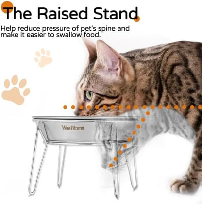 Elevated Cat Bowls, Wide Stainless Steel Cat Food Bowls with Metal Stand Whisker Stress-Free, Raised Food and Water Dish for Cats, Kitten, Puppies and Small Dogs - Image 3