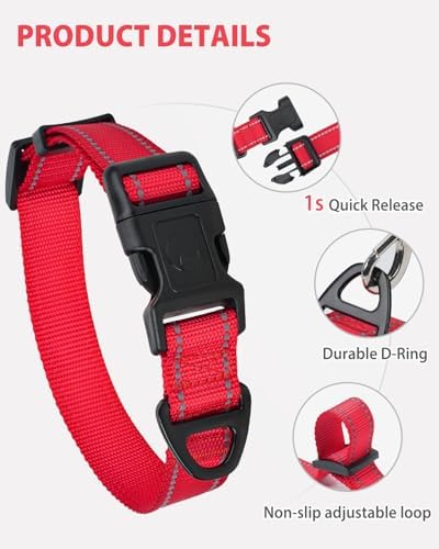 Joytale Feather-Light Dog Collar for Small & Medium Dogs, 3/4", Red - Image 4