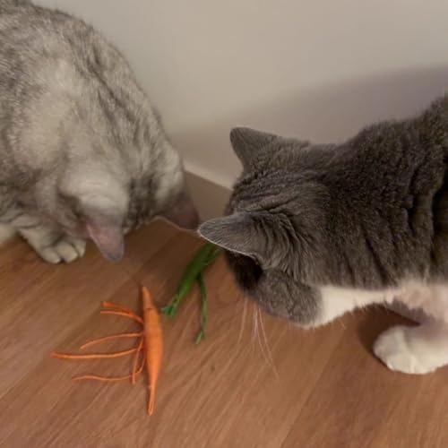 IUHKBH Interactive Cats Toy 3 PCS Shrimp Yarn Chew Toys with Natural Catnip - Image 5