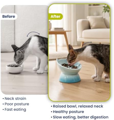 PawsPik Lynx Ceramic Raised Slow Dog & Cat Elevated Food Bowl, Arctic Ombre - Image 7