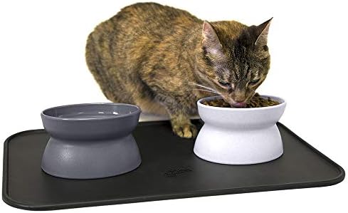 Kitty City Raised Cat Food Bowls and Mat Kit, Each Holds 6.5 Ounces- Pet Bowl for Dogs Cats and Pets, Model Number: CM-0297-CS01 by KittyCity