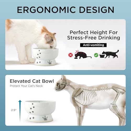 Necoichi Ceramic Elevated Cat Water Bowl, Whisker-Friendly (Cat, Regular) - Image 5