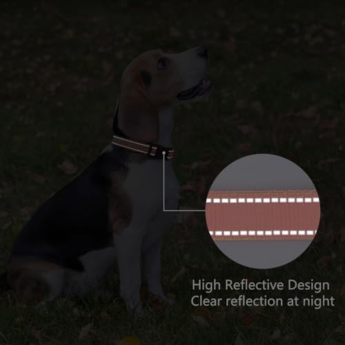 Reflective Dog Collar, Adjustable Nylon for Puppy, Coral XS - Image 5
