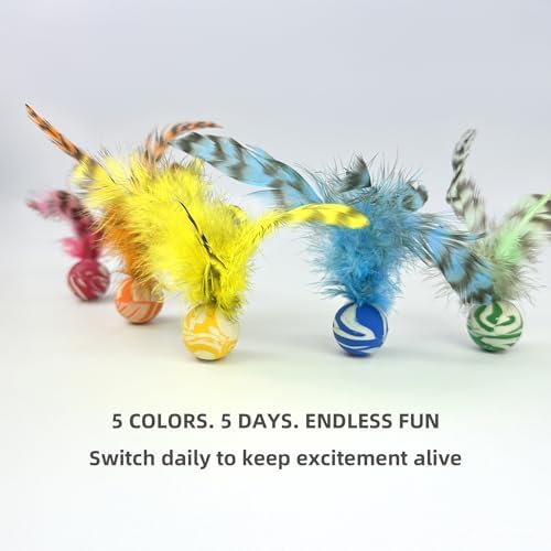 Feather Chase & Fetch Balls for Indoor Cats – 5 Pack Durable Rubber Cat Toys with Natural Feathers, Interactive Exercise & Hunting Play, Bouncy Balls for Active Kittens and Adult Cats - Image 4