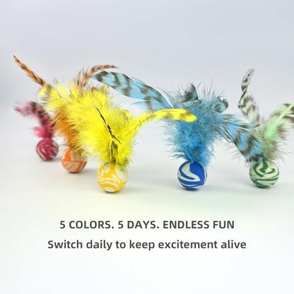 Feather Chase & Fetch Balls for Indoor Cats – 5 Pack Durable Rubber Cat Toys with Natural Feathers, Interactive Exercise & Hunting Play, Bouncy Balls for Active Kittens and Adult Cats - Image 4