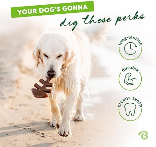 Benebone Tiny 2-Pack Fishbone Durable Dog Chew Toys, Real Fish - Image 3