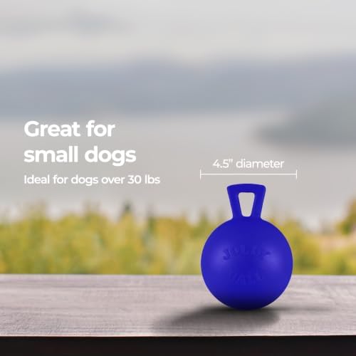 Jolly Pets Tug-n-Toss Heavy Duty Dog Toy Ball with Handle, 4 Inches/Petite, Blue (404 BL),Small Breeds - Image 6