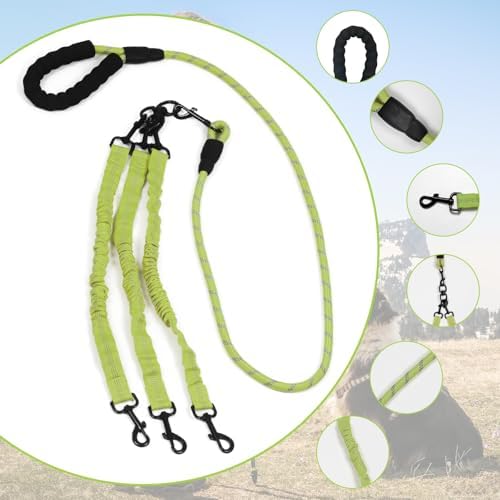 Dog Double Leashes,Rope Bungee Four Leash with Padded Handle Removable for 4 Dogs,Tangle-Free, Padded Handles, 360° Swivel Control (Green, 4 Way) - Image 3