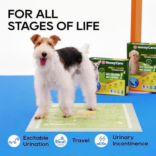 HoneyCare Fresh Grass Print /Scent All Absorb Large Training Pads, 22x23, 50 Ct - Image 6