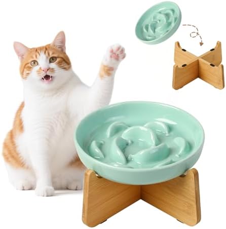 Elevated Ceramic Slow Feeder Cat Bowl, 6.3'' Wide Whisker Friendly by PTOBER