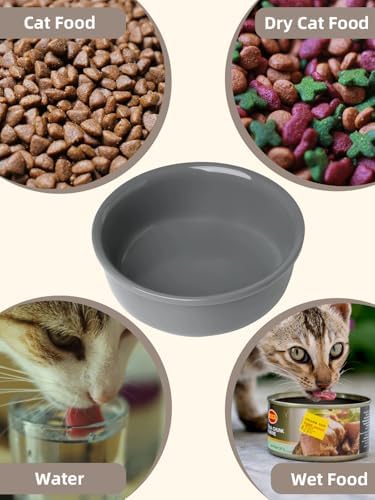GDCZ Elevated 15 Oz Ceramic Double Cat Bowls with 11.6x2.5 Inch Stand (Grey) - Image 5