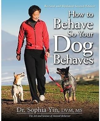 The Buddy System Adjustable Hands Free Dog Leash, Hand-Free Leash for Running, Jogging, Walking, Hiking and Training Service Dogs, Versatile All Dog Sizes - Made in USA - Regular, Black