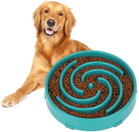 Green Slow Feeder Maze Puzzle Bowl - Large Dog Non Slip Food Feeding Dishes, Interactive, Bloat Stop, Choking Prevention by WHIPPY