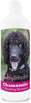 Healthy Breeds Irish Water Spaniel Chamomile Soothing Dog Shampoo 8 oz by HealthyBreeds