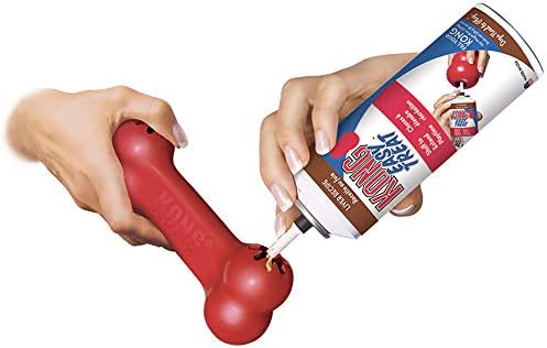 KONG Goodie Bone and Flyer Dog Toy Set, for Medium Dogs - Image 4