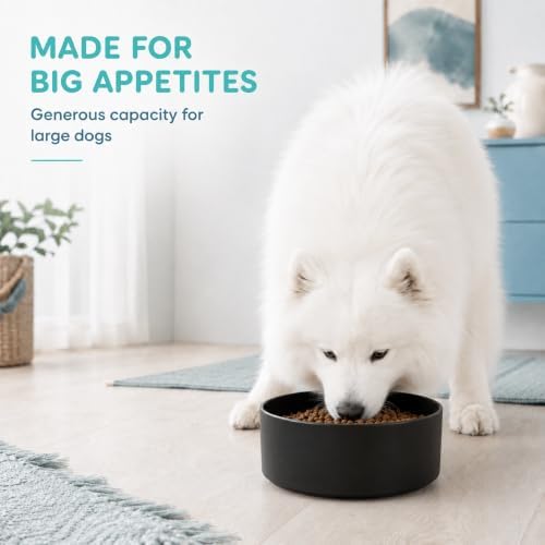 Havniva Ceramic Dog Bowls, 8.3” Dog Food and Water Bowl, Pet Feeding Bowl - Image 6