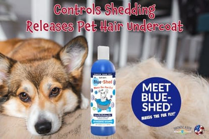 South Bark Blue-Shed® Shampoo for Dogs & Cats 12 oz. | Brightening | Deshedding | Long-Lasting, Fruity Scent | Cruelty-Free | Paraben-Free | Biodegradable and Non-Toxic | Made in USA - Image 2