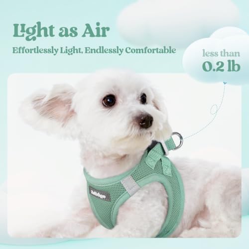 rabbitgoo Dog Harness Medium Sized and Leash Set, Step-in Puppy Pet Vest - Image 3