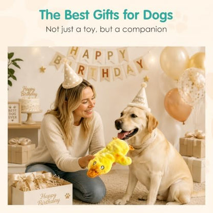 Fuufome No Stuffing Duck Squeaky Dog Toy, Crinkle Plush Chew Toy for Puppy - Image 5