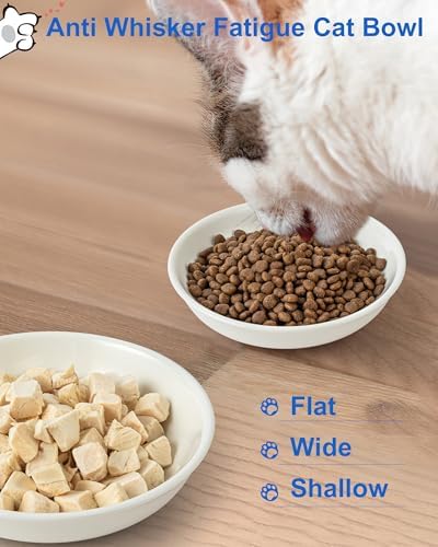 Ceramic Cat Bowl Whisker Friendly, Non-Slip Cat Food Bowls 6-Pack - Image 6